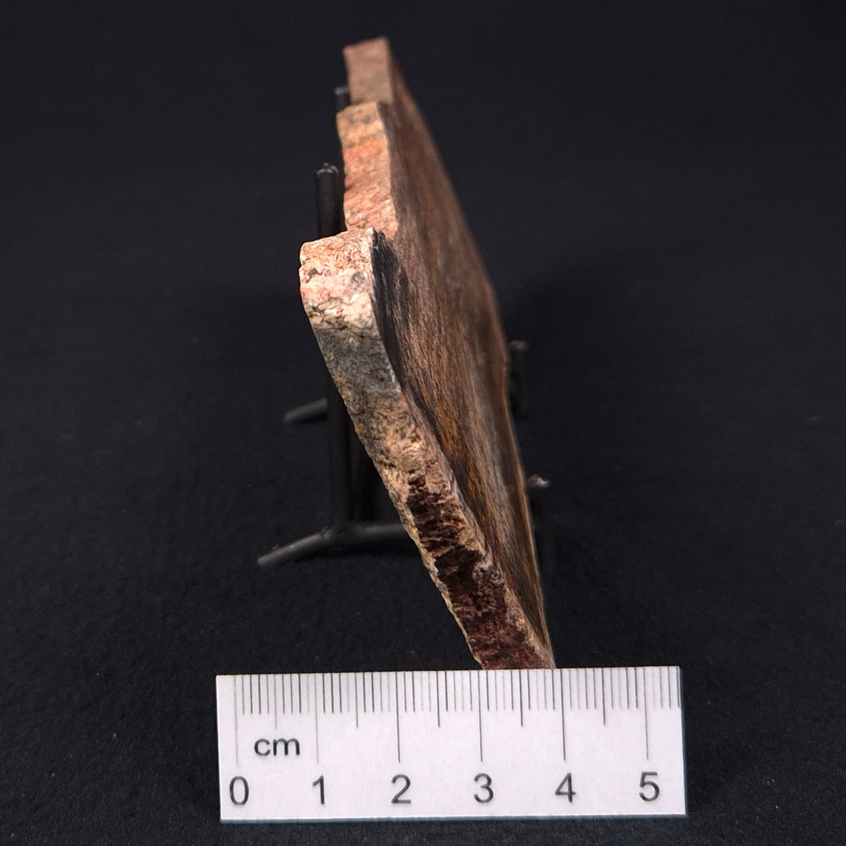 STROMATOLITE MICROBIAL MAT, Strelley Pool Formation, Archean, Australia ZSP005