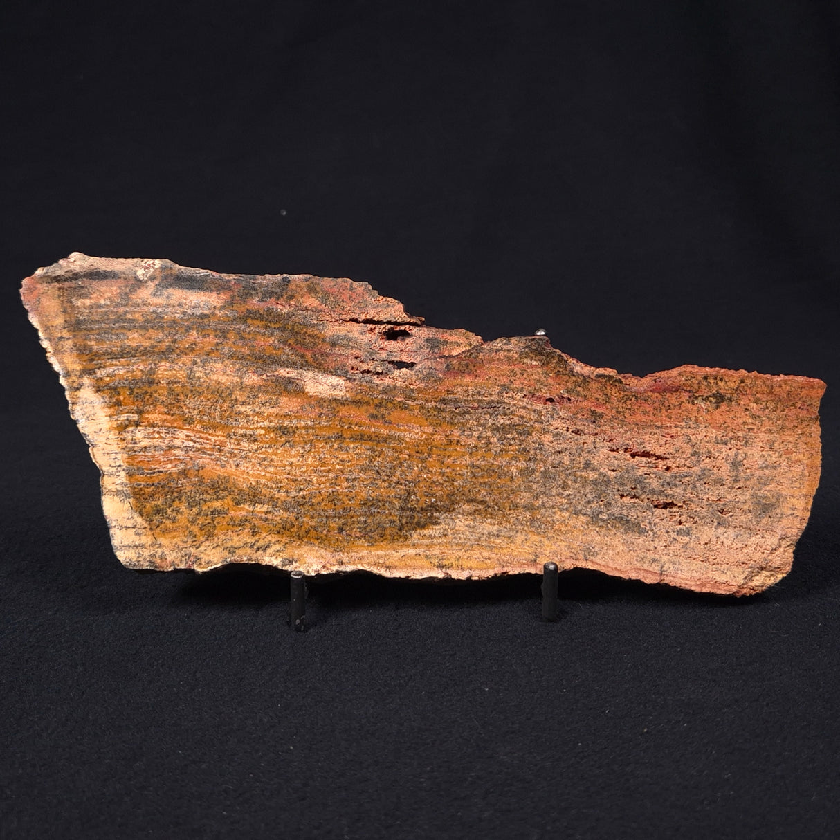 STROMATOLITE MICROBIAL MAT, Strelley Pool Formation, Archean, Australia ZSP006