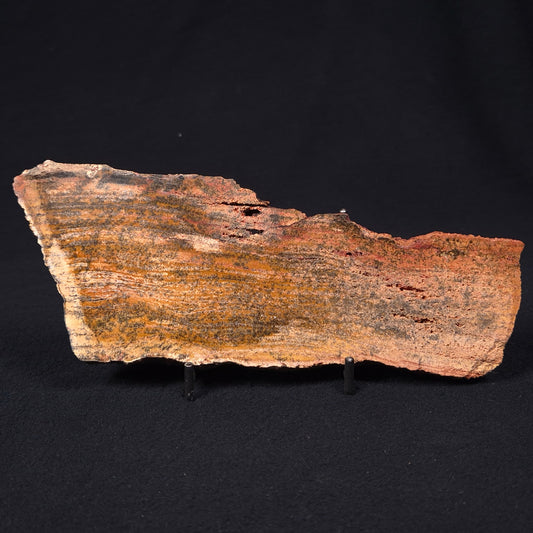 STROMATOLITE MICROBIAL MAT, Strelley Pool Formation, Archean, Australia ZSP006