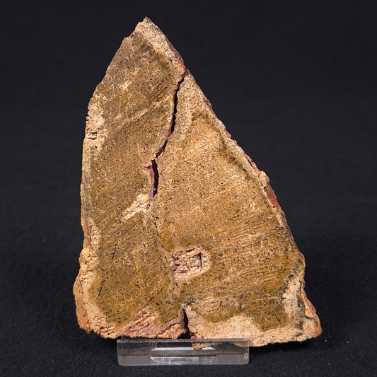 STROMATOLITE MICROBIAL MAT, Strelley Pool Formation, Archean, Australia ZSP007