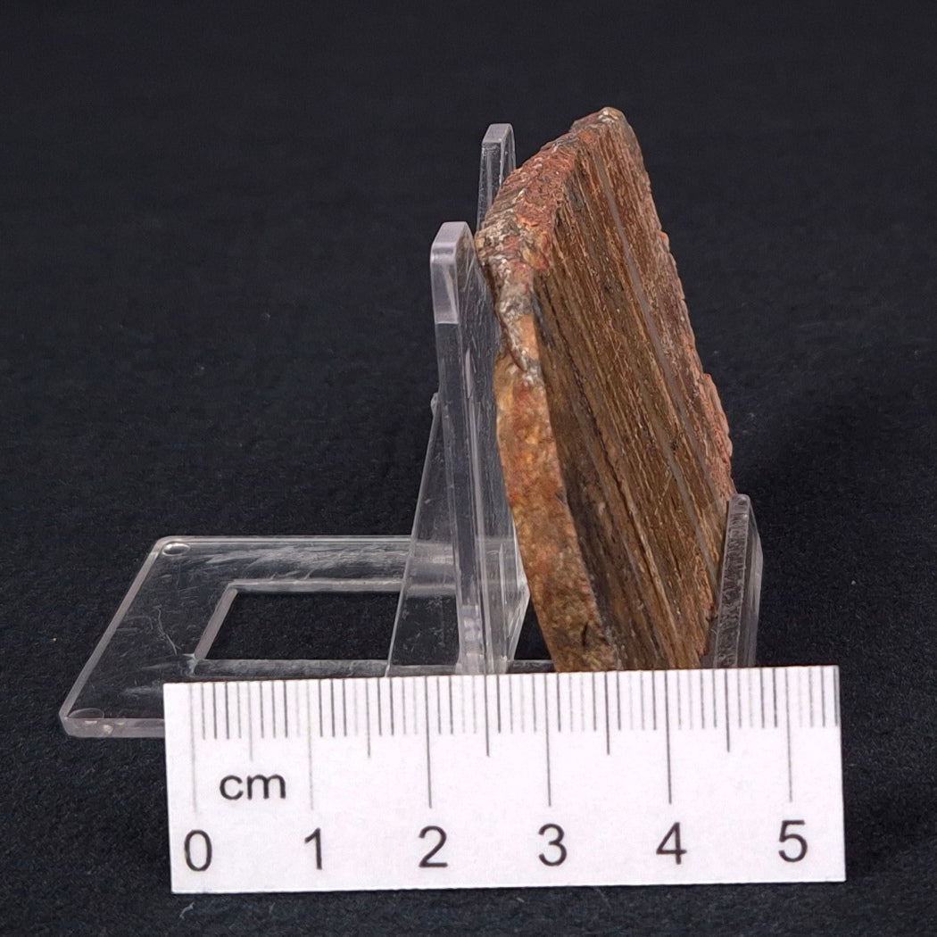 STROMATOLITE MICROBIAL MAT, Strelley Pool Formation, Archean, Australia ZSP008