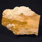 STROMATOLITE MICROBIAL MAT, Strelley Pool Formation, Archean, Australia ZSP010