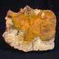 STROMATOLITE MICROBIAL MAT, Strelley Pool Formation, Archean, Australia ZSP012