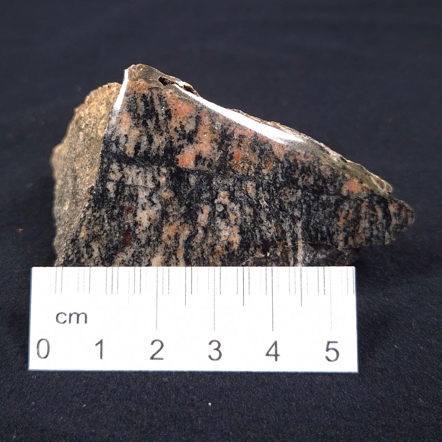 ACASTA GNEISS "OLDEST ROCK IN THE WORLD", Late Hadean, Canada ZAG006