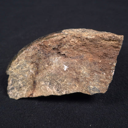 ACASTA GNEISS "OLDEST ROCK IN THE WORLD", Late Hadean, Canada ZAG007
