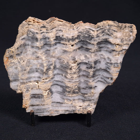 STROMATOLITE, Lower Proterozoic, Australia ZMG002