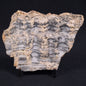 STROMATOLITE, Lower Proterozoic, Australia ZMG002