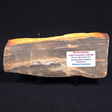 MOUNT MCGRATH STROMATOLITE, Lower Proterozoic, Australia ZMG005