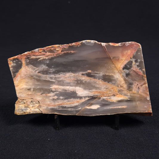 STROMATOLITE, Lower Proterozoic, Australia ZMG004