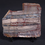 STROMATOLITE, Jerrinah Formation, Proterozoic, Australia ZJF014