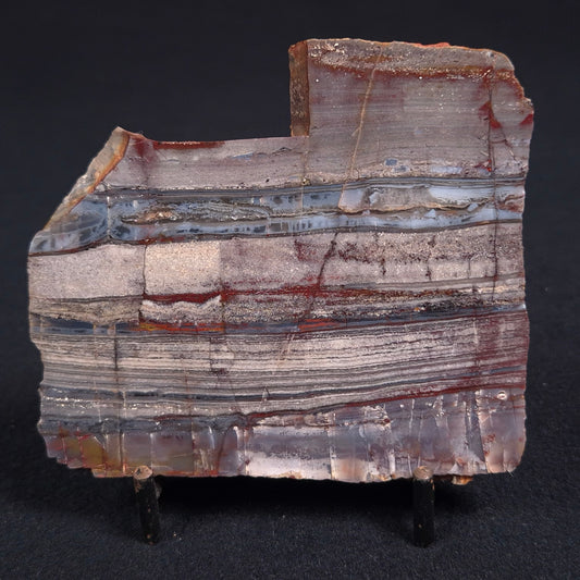 STROMATOLITE, Jerrinah Formation, Proterozoic, Australia ZJF014