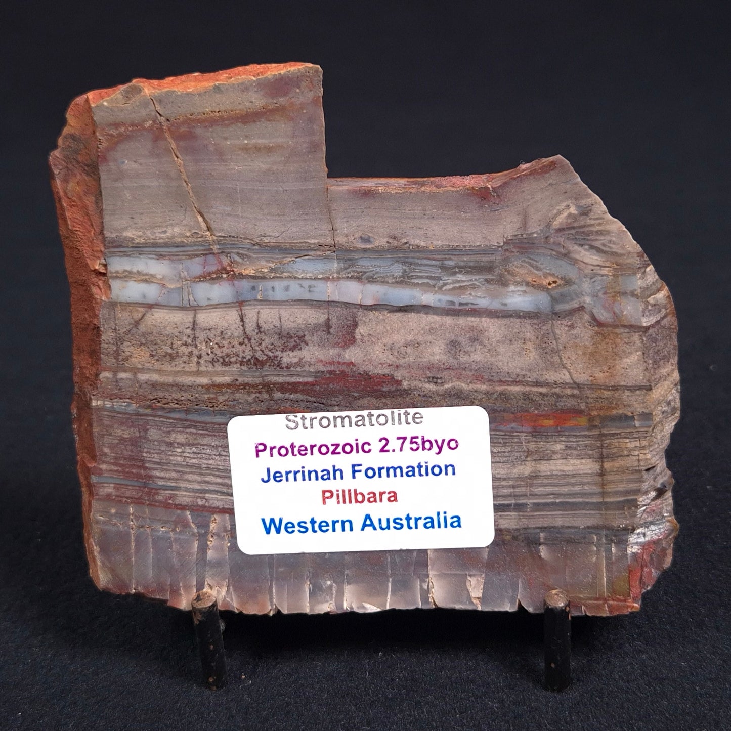 STROMATOLITE, Jerrinah Formation, Proterozoic, Australia ZJF014