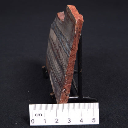 STROMATOLITE, Jerrinah Formation, Proterozoic, Australia ZJF014