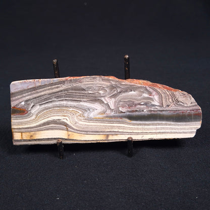 STROMATOLITE, Jerrinah Formation, Proterozoic, Australia ZJF015