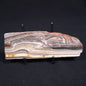 STROMATOLITE, Jerrinah Formation, Proterozoic, Australia ZJF015