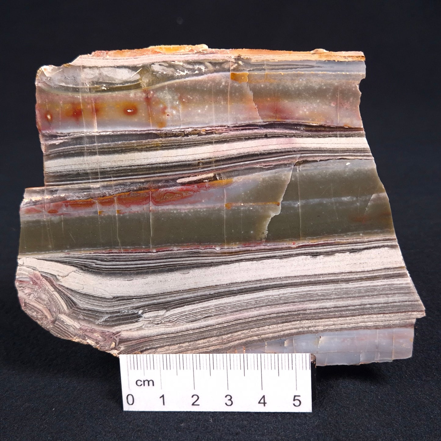 STROMATOLITE, Jerrinah Formation, Proterozoic, Australia ZJF016