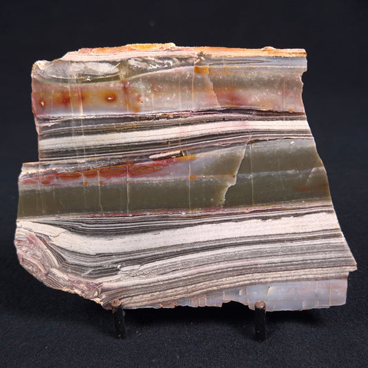 STROMATOLITE, Jerrinah Formation, Proterozoic, Australia ZJF016