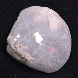 OPAL SHELL CYRENOPSIS sp. Cretaceous, Australia YOS001