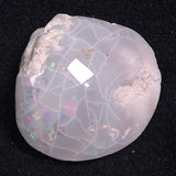 OPAL SHELL CYRENOPSIS sp. Cretaceous, Australia YOS001