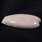 OPAL SHELL EYRENA sp. Cretaceous, Australia YOS002