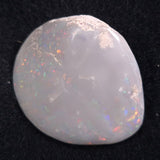 OPAL SHELL CYRENOPSIS sp. Cretaceous, Australia YOS003