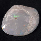 OPAL SHELL CYRENOPSIS sp. Cretaceous, Australia YOS003