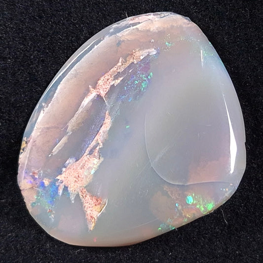 OPAL SHELL CYRENOPSIS sp. Cretaceous, Australia YOS004