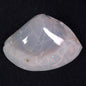 OPAL SHELL CYRENOPSIS sp. Cretaceous, Australia YOS005