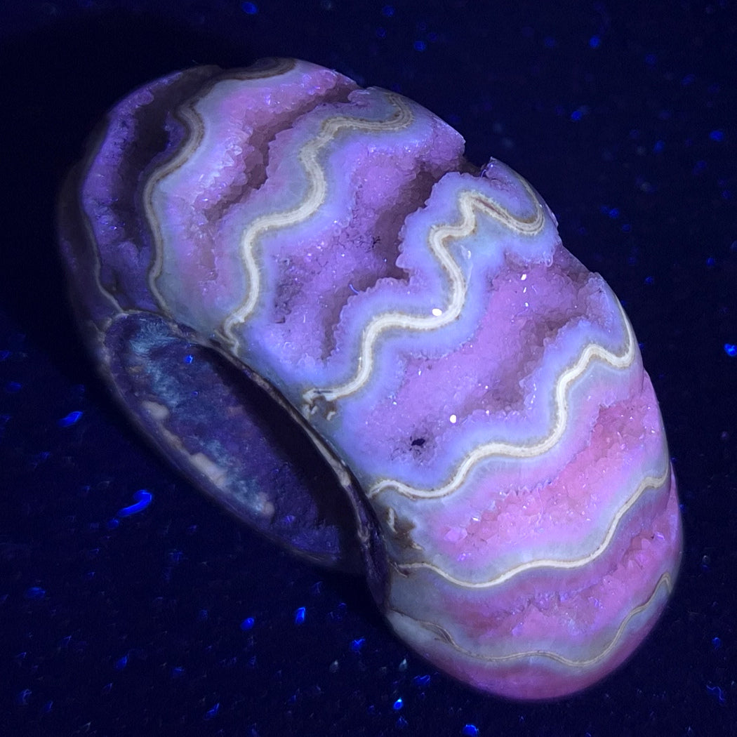FLUORESCENT AMMONITE, EAST TIMOR XAT002