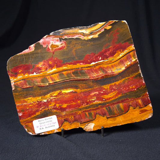 MARRA MAMBA TIGER EYE STROMATOLITE, Archean, Australia YSC057