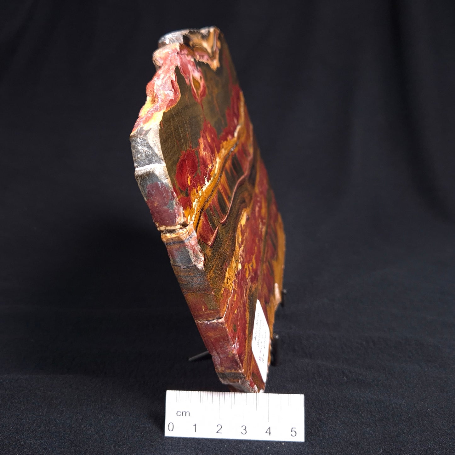 MARRA MAMBA TIGER EYE STROMATOLITE, Archean, Australia YSC057