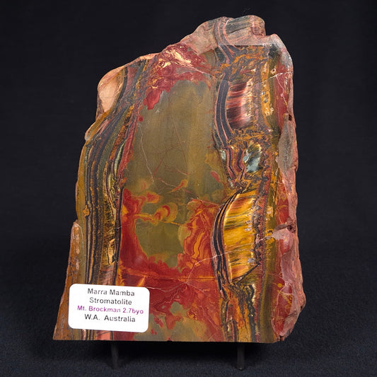 MARRA MAMBA TIGER EYE STROMATOLITE, Archean, Australia YSC059