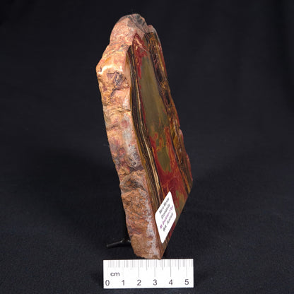 MARRA MAMBA TIGER EYE STROMATOLITE, Archean, Australia YSC059
