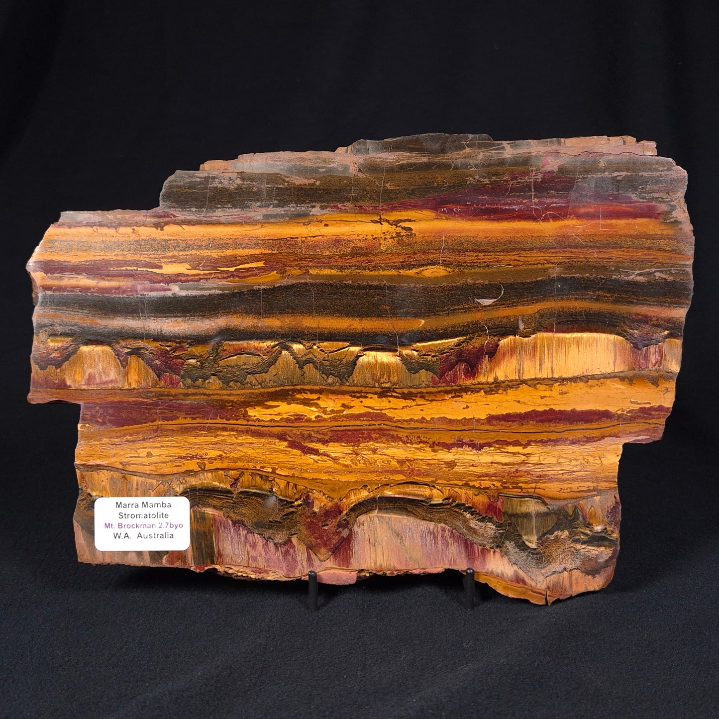Marra Mamba Tiger Eye from Australia Polished YSC060