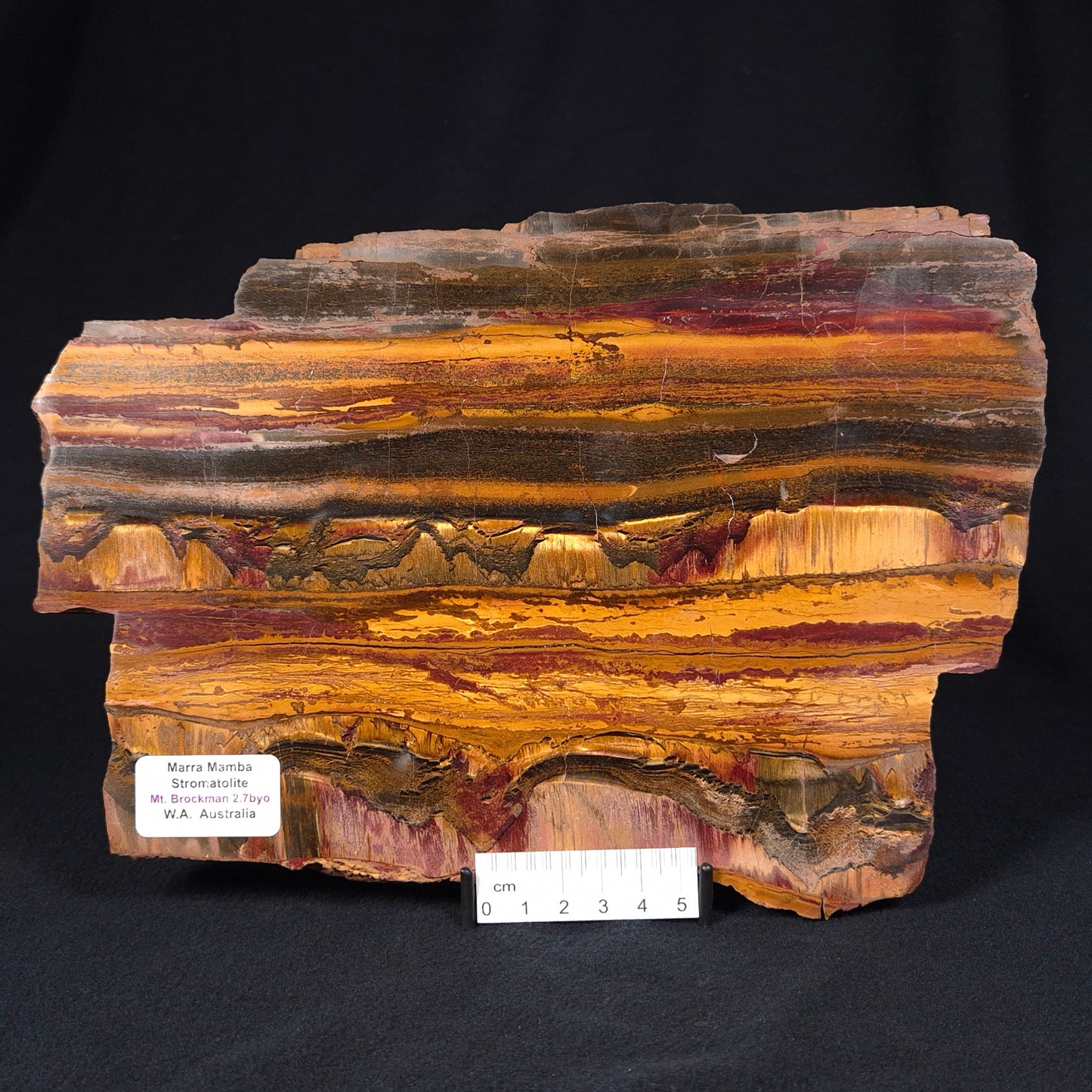 Marra Mamba Tiger Eye from Australia Polished YSC060