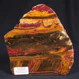 MARRA MAMBA TIGER EYE STROMATOLITE, Archean, Australia YSC062