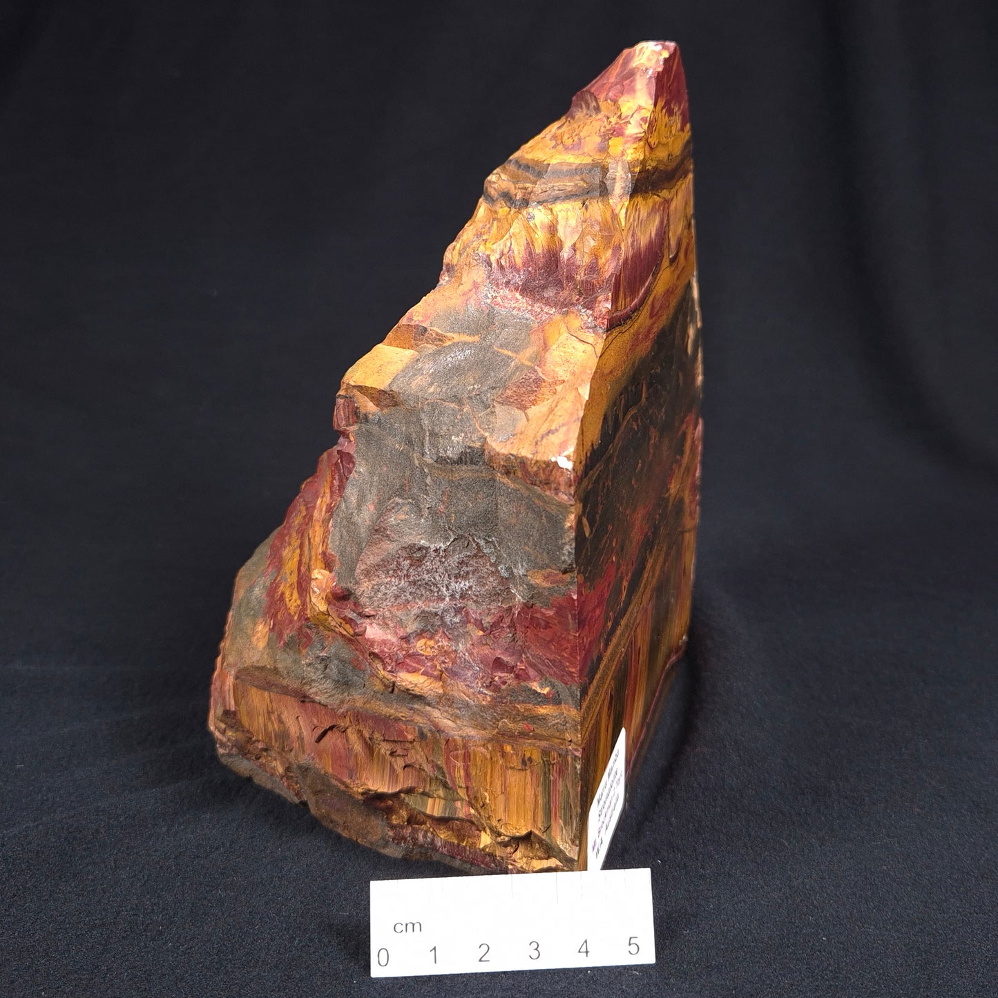 MARRA MAMBA TIGER EYE STROMATOLITE, Archean, Australia YSC062