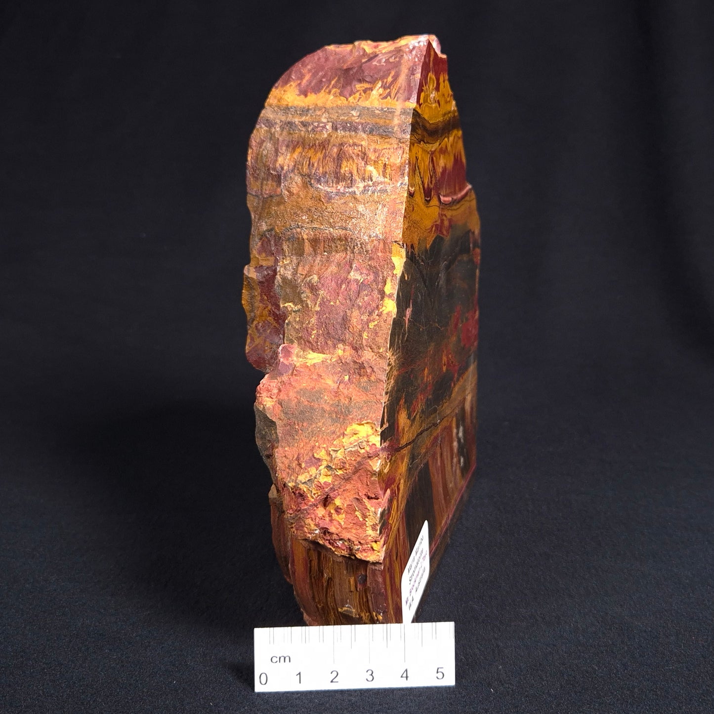 MARRA MAMBA TIGER EYE STROMATOLITE, Archean, Australia YSC061