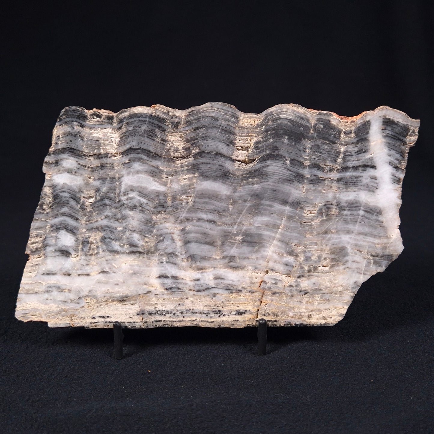 STROMATOLITE, Lower Proterozoic, Australia ZMG008