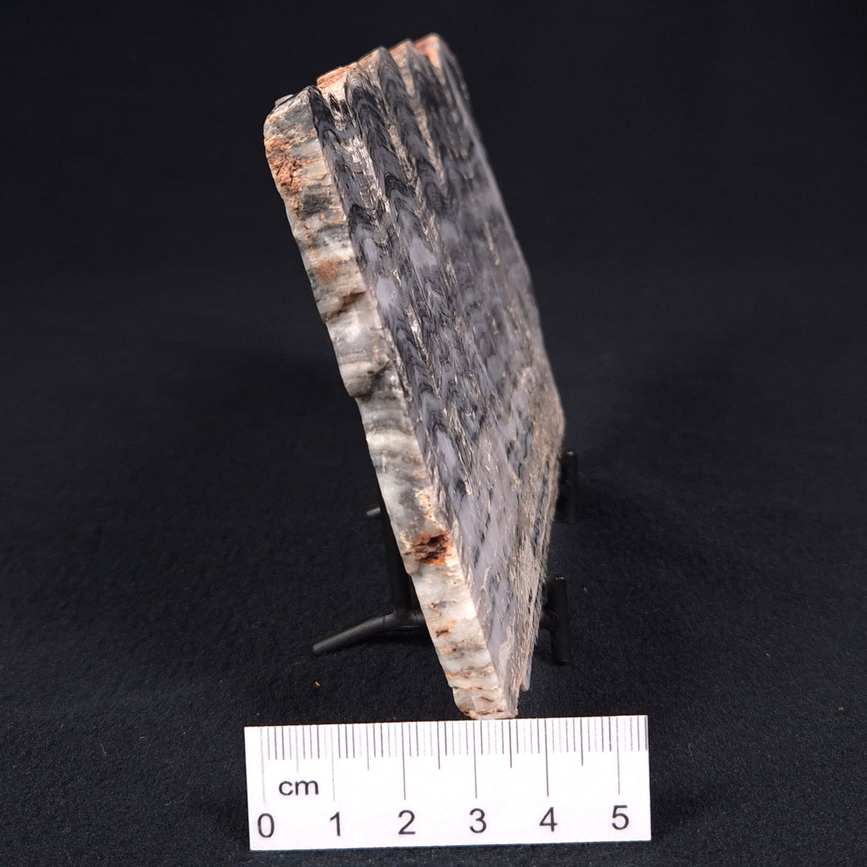 MOUNT MCGRATH STROMATOLITE, Lower Proterozoic, Australia ZMG008