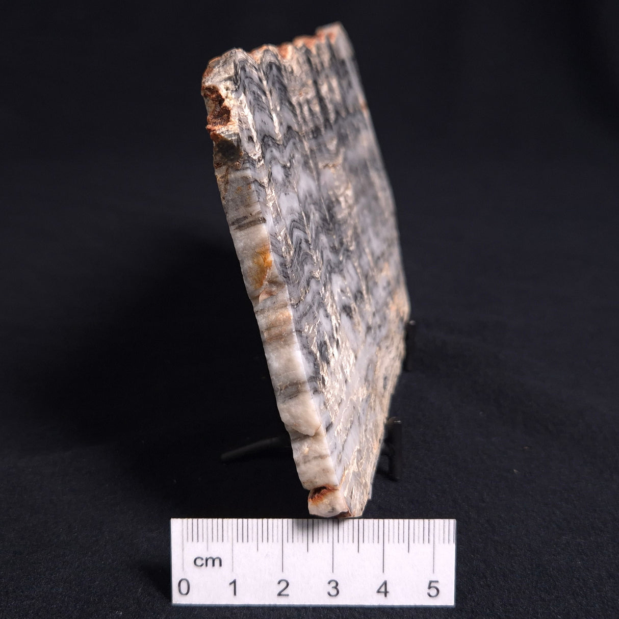 MOUNT MCGRATH STROMATOLITE, Lower Proterozoic, Australia ZMG010