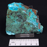 CHRYSOCOLLA CUPRITE MALACHITE QUARTZ, Australia ZRC009