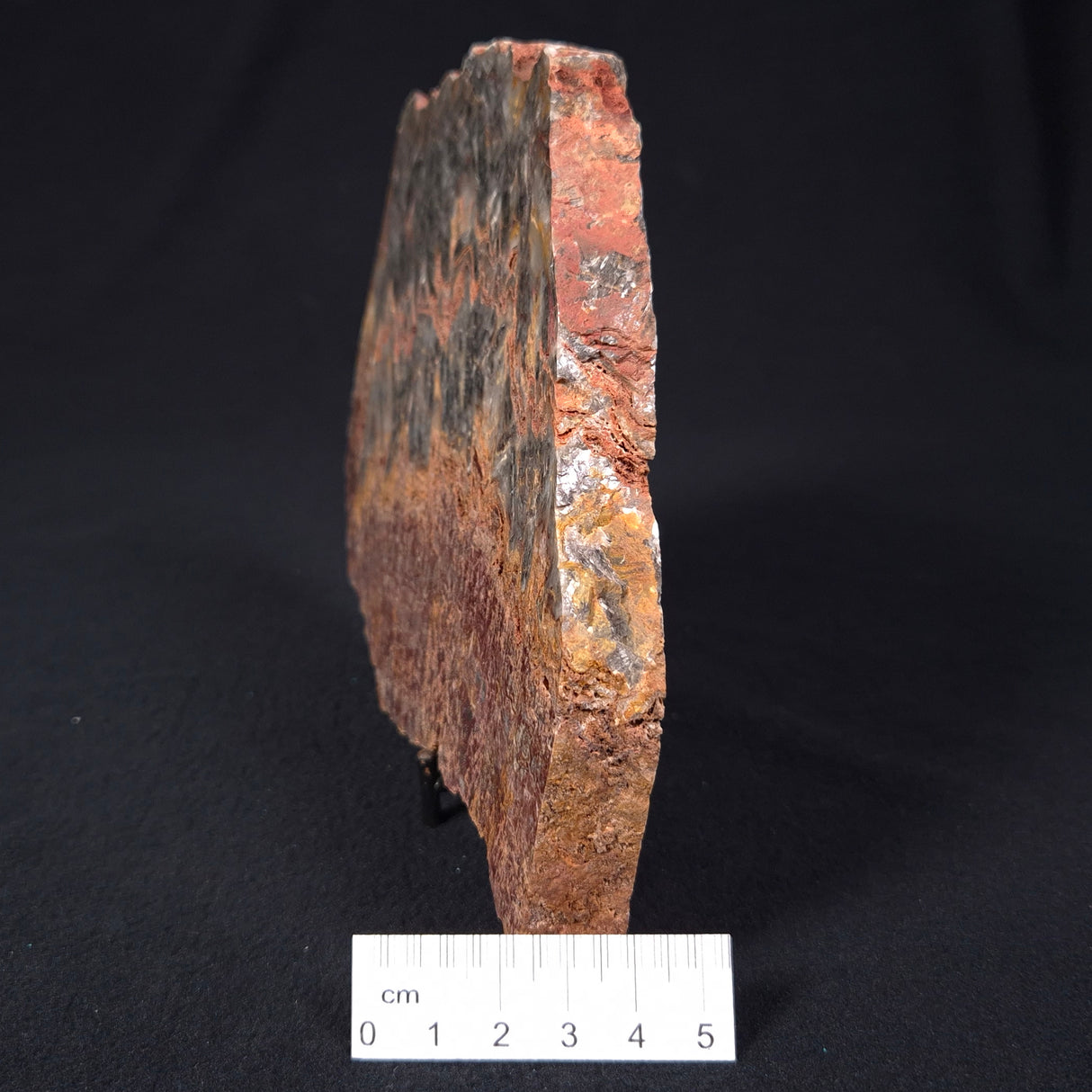 STROMATOLITE MICROBIAL MAT, Archean, Dresser Formation, Australia ZDF014