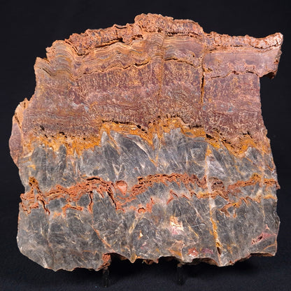 STROMATOLITE MICROBIAL MAT, Archean, Dresser Formation, Australia ZDF015