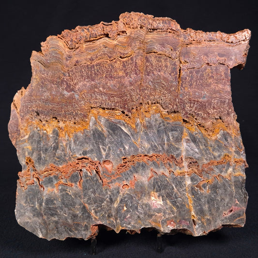 STROMATOLITE MICROBIAL MAT, Archean, Dresser Formation, Australia ZDF015