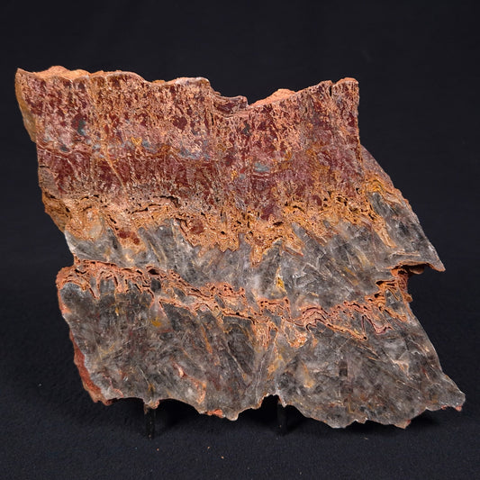 STROMATOLITE MICROBIAL MAT, Archean, Dresser Formation, Australia ZDF016