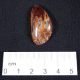 BOULDER OPAL CABOCHON, Australia XBC008