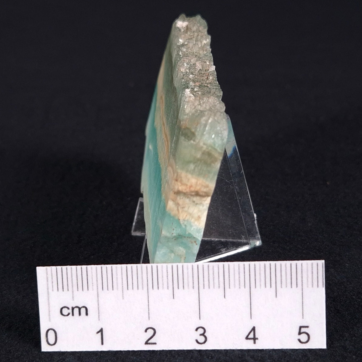 Caribbean Calcite Slab XCC004