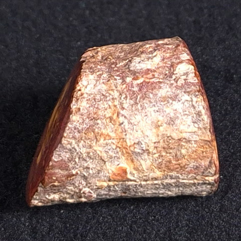 Petrified Wood from Lune River, Tasmania, Australia XPL001