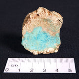 TURQUOISE, Australia XTQ001